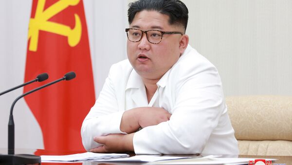 克里姆林宫称，普京与朝鲜领导人在今年的会面事宜将被提上议事日程 - 俄罗斯卫星通讯社