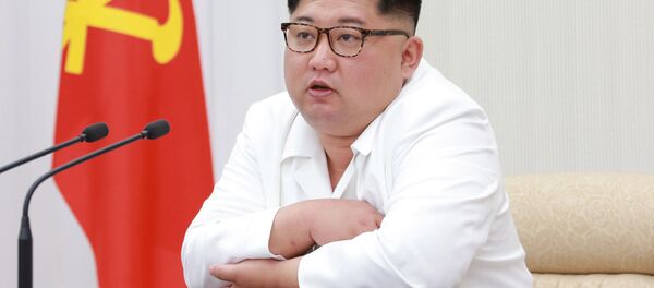 金正恩 - 俄罗斯卫星通讯社