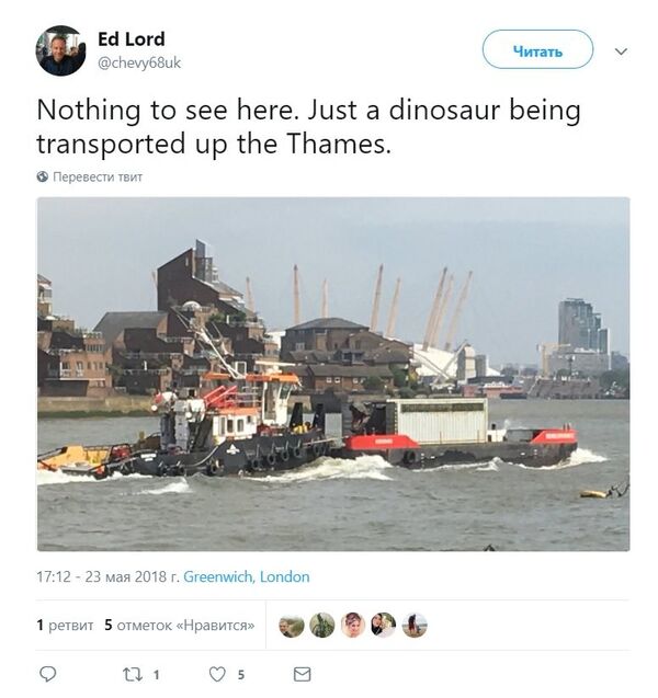 英国百姓对漂在泰晤士运河上的恐龙并不惊讶 英国百姓对漂在泰晤士运河上的恐龙并不惊讶 - 俄罗斯卫星通讯社