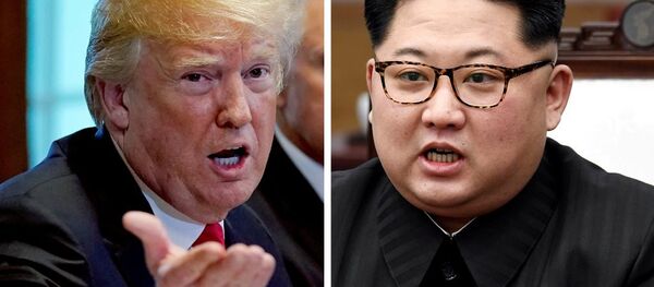 专家：取消美朝峰会在意料之中 - 俄罗斯卫星通讯社