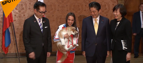 奥运冠军阿林娜·扎吉托娃获赠一只秋田犬 - 俄罗斯卫星通讯社
