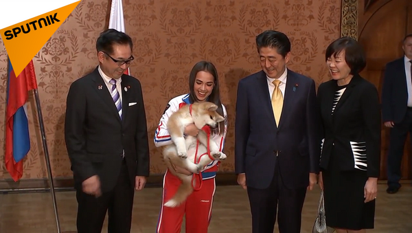 奧運冠軍阿林娜·扎吉托娃獲贈一隻秋田犬 - 俄羅斯衛星通訊社