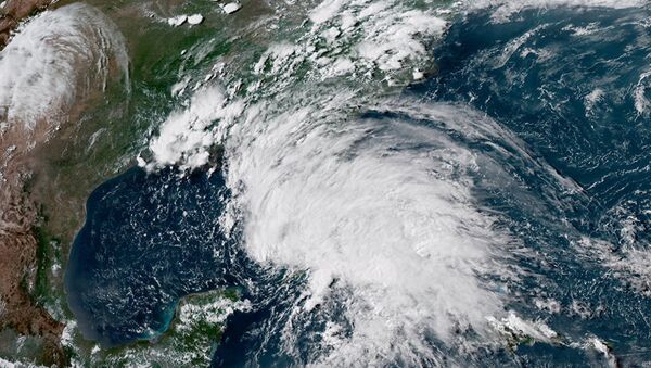 滨海边疆区发布风暴预警 - 俄罗斯卫星通讯社