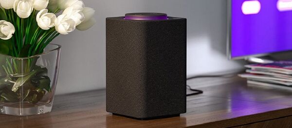 莫斯科市民为购买Yandex智能音箱排长队 - 俄罗斯卫星通讯社