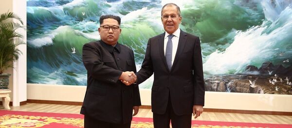 消息人士：俄外长与金正恩在平壤会晤 - 俄罗斯卫星通讯社