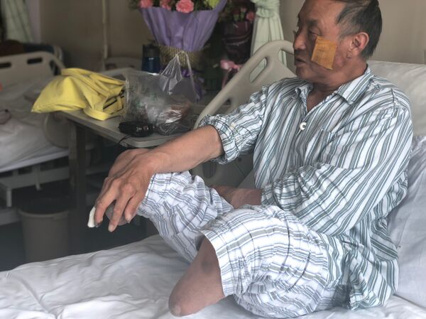 夏伯渝 - 俄罗斯卫星通讯社