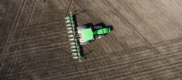 俄新西伯利亚州因异常天气导致播种中断而实施紧急状态 - 俄罗斯卫星通讯社