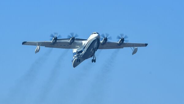 China's home-grown AG600, the world's largest amphibious aircraft  - 俄罗斯卫星通讯社