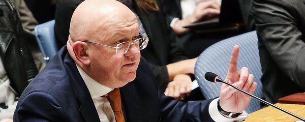 俄罗斯呼吁美国持公正态度对待巴以冲突 俄罗斯呼吁美国持公正态度对待巴以冲突 - 俄罗斯卫星通讯社