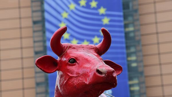 保加利亚要以“非法越过欧盟边界”罪处死一只奶牛 - 俄罗斯卫星通讯社