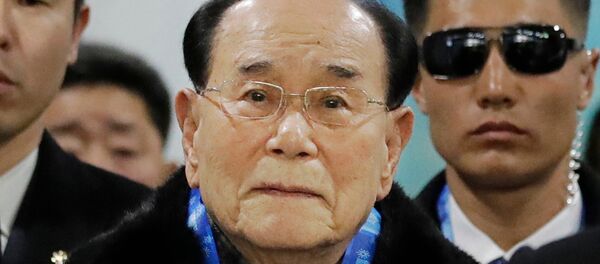 俄国家杜马：朝鲜高级别代表将出席世界杯开幕式 - 俄罗斯卫星通讯社