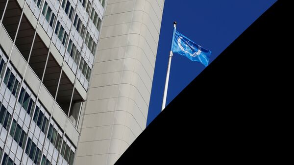 The IAEA flag flies in front of its headquarters in Vienna - 俄羅斯衛星通訊社