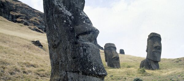 考古学家揭密：人类如何在复活节岛上生存 - 俄罗斯卫星通讯社