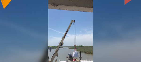 忍者小浣熊! 忍者小浣熊! - 俄羅斯衛星通訊社