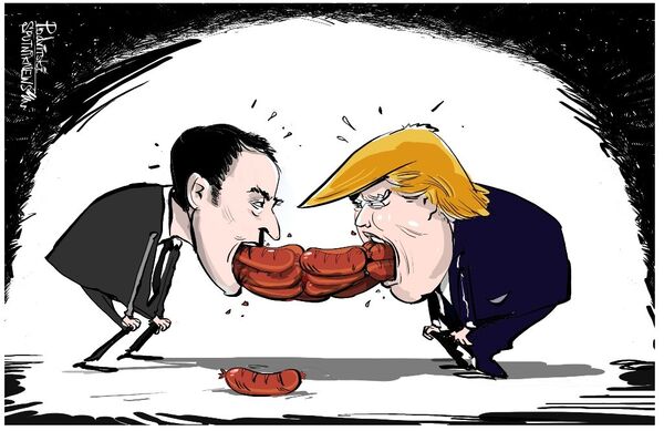 马克龙拒绝透露与特朗普会谈的内容：香肠是什么做的食客不必知道 - 俄罗斯卫星通讯社
