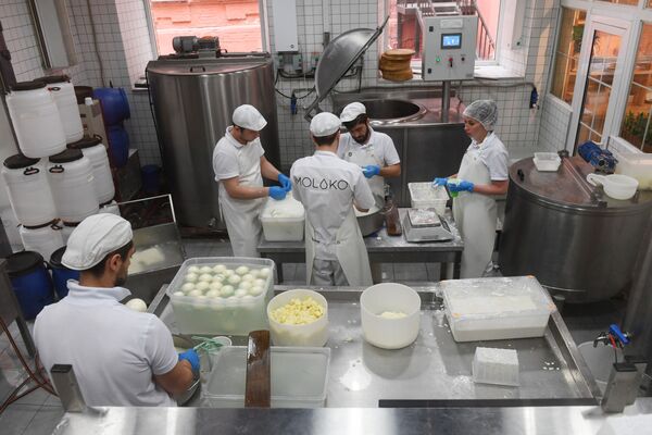 莫斯科奶酪工厂餐馆在生产奶酪。 - 俄罗斯卫星通讯社