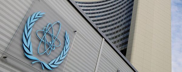 国际原子能机构总部 - 俄罗斯卫星通讯社
