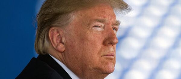 特朗普致信墨西哥当选总统坚持尽快完成北美自贸区谈判 - 俄罗斯卫星通讯社