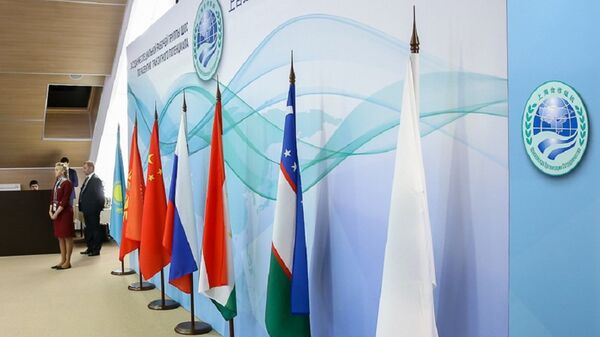 克宫：普京将在上合组织峰会期间会见中国等四国领导人 - 俄罗斯卫星通讯社