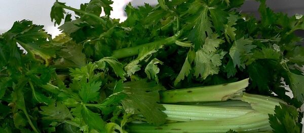 俄將建議向中國消費者提供俄產有機食品 - 俄羅斯衛星通訊社