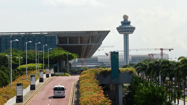 新加坡樟宜機場 - 俄羅斯衛星通訊社