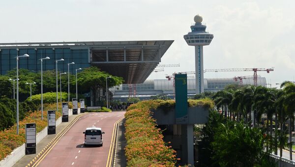 新加坡樟宜机场 - 俄罗斯卫星通讯社