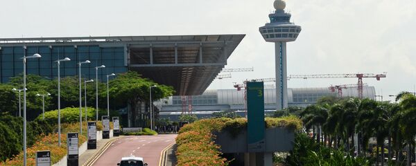 新加坡樟宜机场 新加坡樟宜机场 - 俄罗斯卫星通讯社