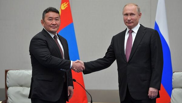 普京上合组织青岛峰会期间会见会晤蒙古国总统 - 俄罗斯卫星通讯社