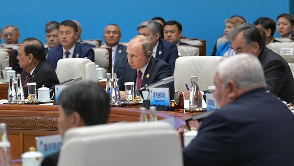 普京：俄烏領導人電話會談的倡議由波羅申科發起，這表現出瞭解決問題的願望 - 俄羅斯衛星通訊社