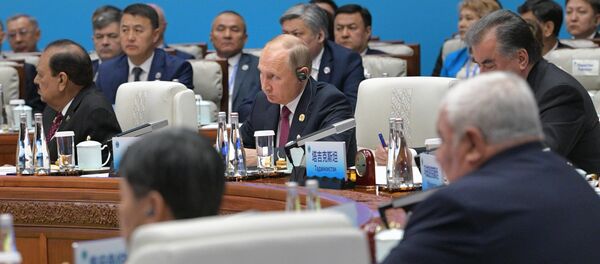 普京：俄乌领导人电话会谈的倡议由波罗申科发起，这表现出了解决问题的愿望 - 俄罗斯卫星通讯社