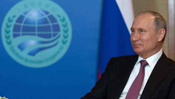 普京：俄罗斯对特金会表示欢迎 - 俄罗斯卫星通讯社