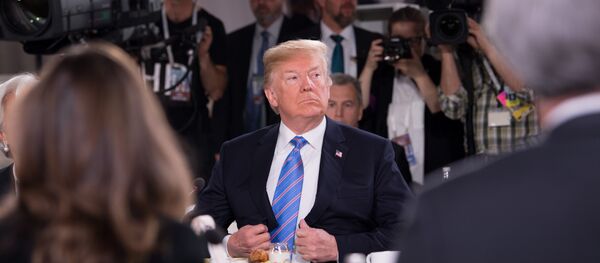 欧洲议会将特朗普在G7峰会上的行为与天气变化相提并论 - 俄罗斯卫星通讯社