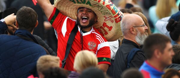 英媒：去俄羅斯看世界杯最划算 - 俄羅斯衛星通訊社