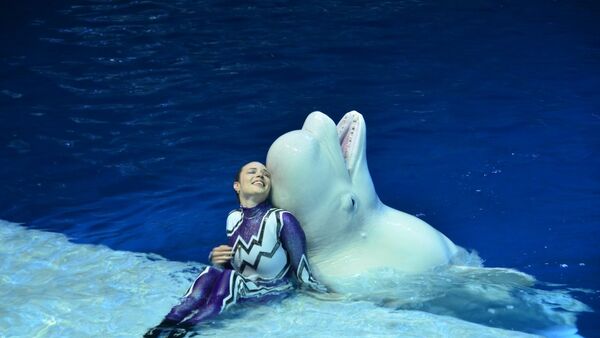 莫斯科海洋館推出水上音樂劇《夏夜的夢》 - 俄羅斯衛星通訊社