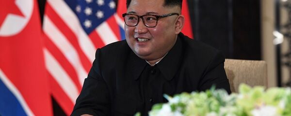 前朝鮮駐英國大使稱金正恩或已不能行走 - 俄羅斯衛星通訊社