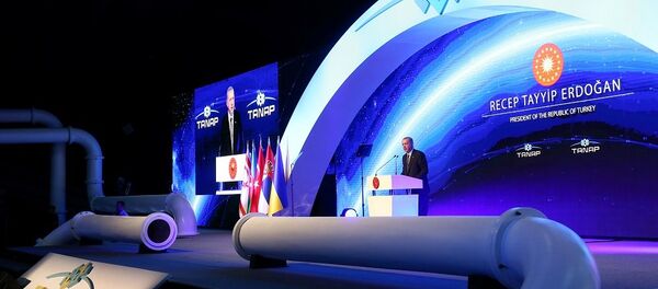 跨安纳托利亚天然气管道在土耳其正式开通 - 俄罗斯卫星通讯社