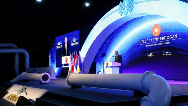 跨安纳托利亚天然气管道在土耳其正式开通 - 俄罗斯卫星通讯社