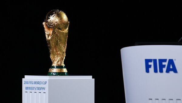 20多位国家元首将出席俄罗斯世界杯揭幕战 - 俄罗斯卫星通讯社