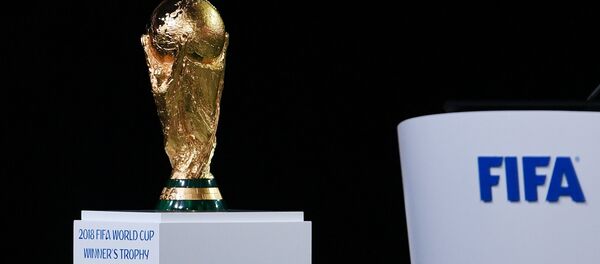 20多位国家元首将出席俄罗斯世界杯揭幕战 - 俄罗斯卫星通讯社