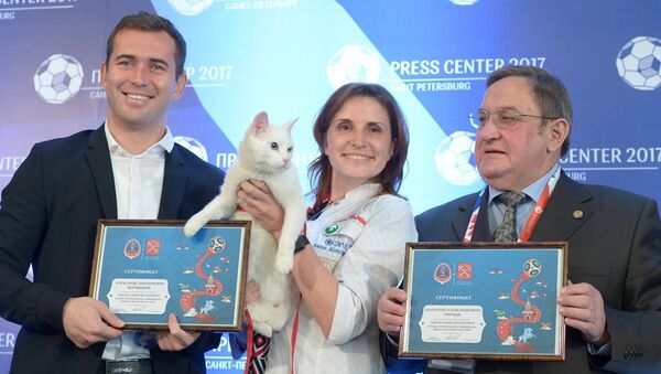 圣彼得堡的著名猫咪预测官将预测世界杯首场比赛结果 - 俄罗斯卫星通讯社