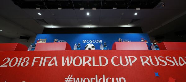 俄罗斯世界杯将为国际足联带来创纪录的收益 - 俄罗斯卫星通讯社