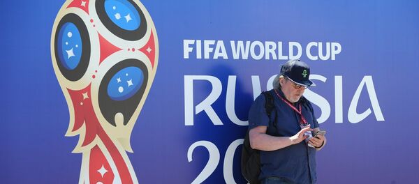 俄消費者權益保護局特別關注2018世界杯客人的健康與安全 - 俄羅斯衛星通訊社