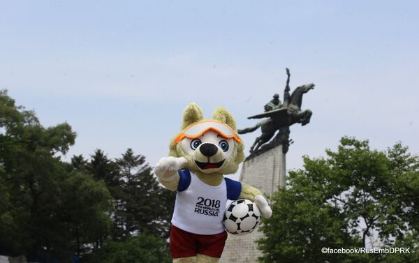 俄驻朝使馆脸书账号发布世界杯吉祥物照片 - 俄罗斯卫星通讯社