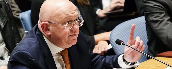 俄罗斯常驻联合国代表涅边贾 - 俄罗斯卫星通讯社