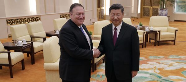 习近平就“金特会”取得积极成果向美国表示祝贺 - 俄罗斯卫星通讯社