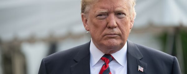 纽约州总检察长对特朗普的基金会提出诉讼 - 俄罗斯卫星通讯社