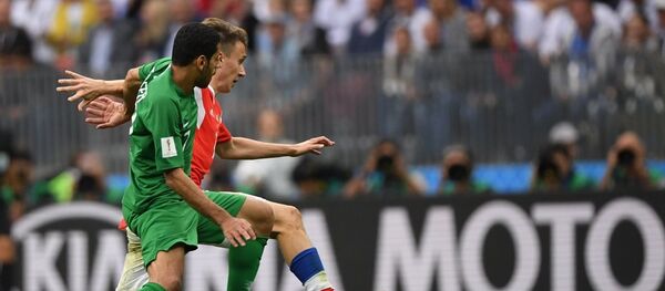 卡塔尔球迷在该国遭沙特封锁下仍支持沙特国足队 - 俄罗斯卫星通讯社