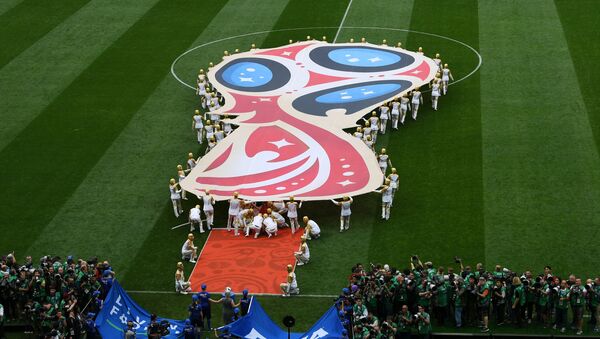 意大利足球经纪人提议在俄罗斯举办2020年欧洲杯 - 俄罗斯卫星通讯社