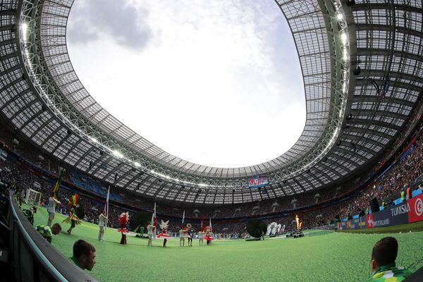 俄罗斯世界杯足球赛正式开幕 - 俄罗斯卫星通讯社