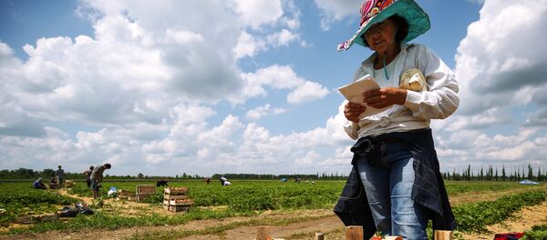 澳大利亚因草莓藏针事件被捕的女子获保释 - 俄罗斯卫星通讯社